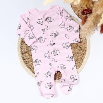 Комбінезон ясельний Фламінго, колір: рожевий/BUNNY , розмір: 62, арт. 365-118 365-118 фото